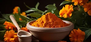 Die Funktion von Lutein